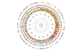 Fontana Colour Wheel, Jamie Shovlin