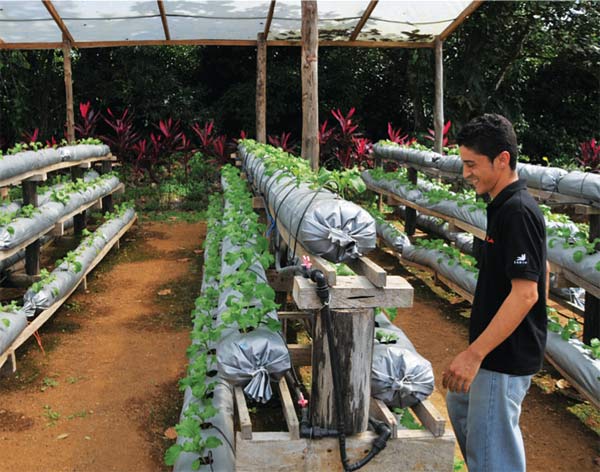 Jorge Cespedes showing how EARTH maximise space for growing herbs and plants