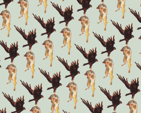 Eve-Spencer_Cat-Hawk-pattern-from-the-Avant-Garde-collection