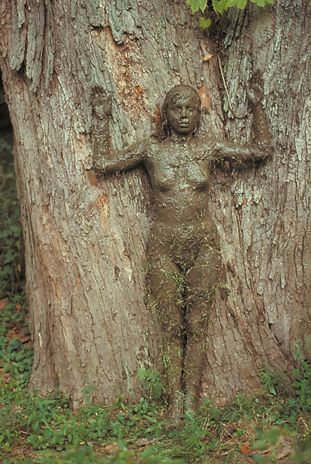 ANA-MENDIETA_Tree-of-Life