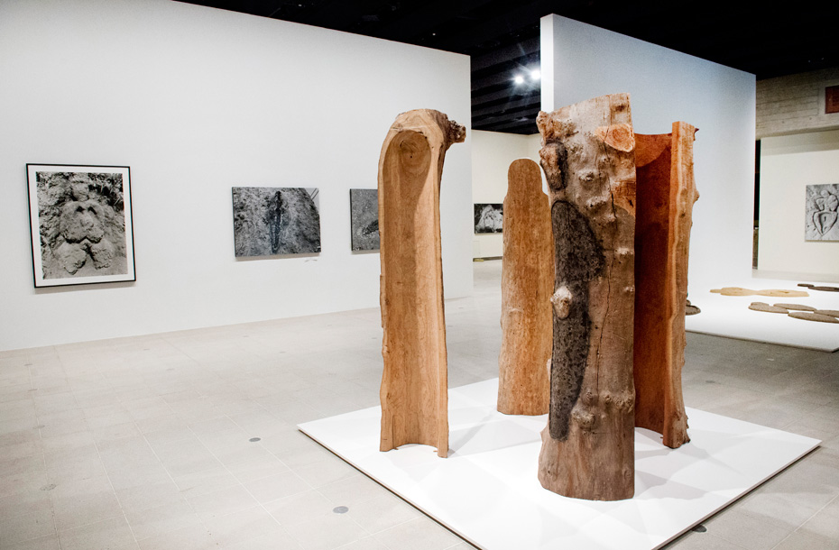Installation view of Ana Mendieta, Totem Grove, 1985 at ‘Ana Mendieta: Traces’ exhibition, Hayward Gallery 2013 © The Estate of Ana Mendieta Collection, LLC  Photo: Linda Nylind