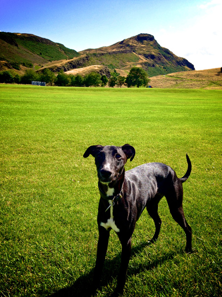 Doris by Lily Kember