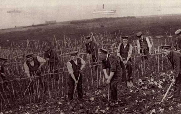 Sailor’s Allotment, 1917. Courtesy of Garden Museum