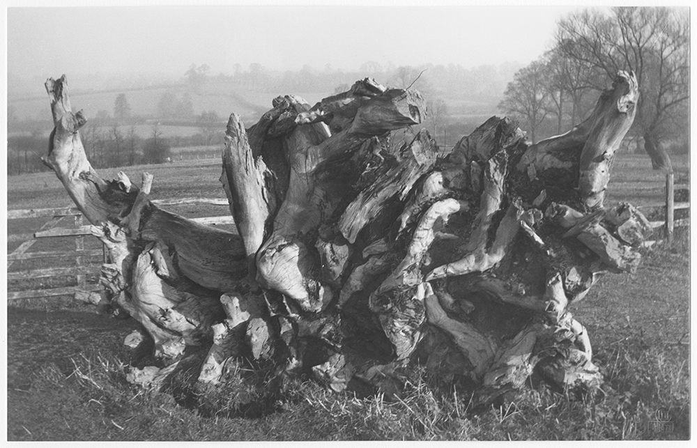 PAUL NASH3