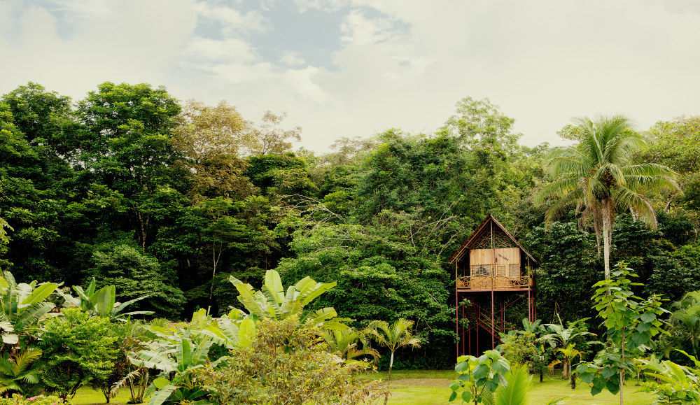 A Costa Rican treehouse also features in Airbnb's 'Love This, Live There' campaign Airbnb Treehouse