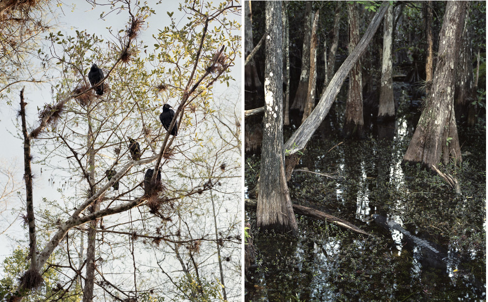 Images courtesy of Dylan Johnston