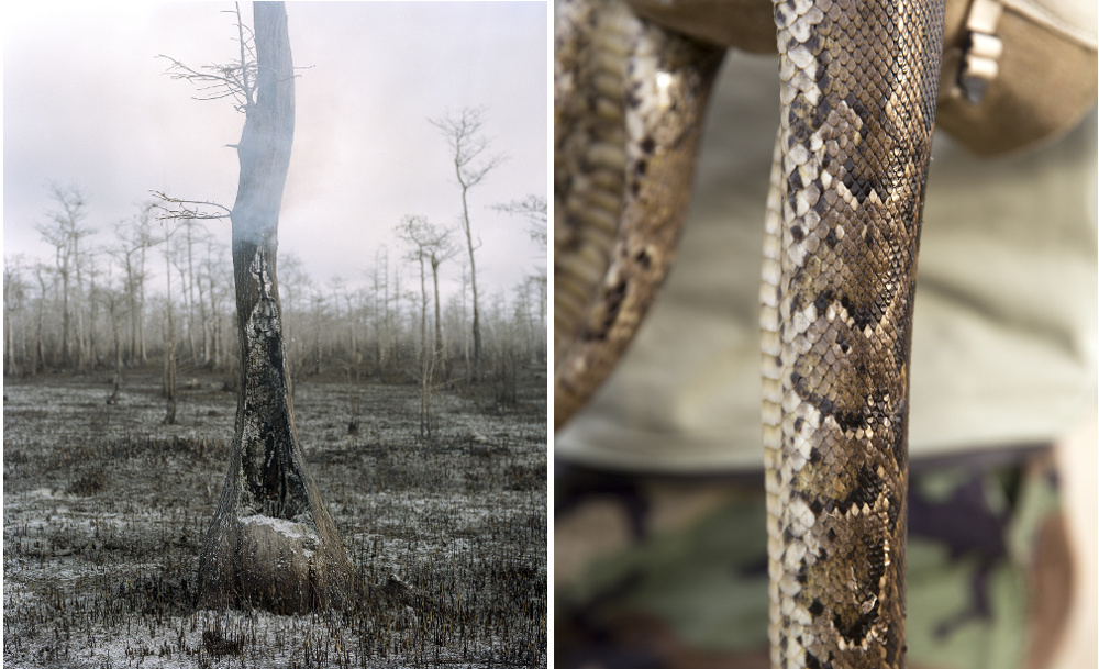 Images courtesy of Dylan Johnston