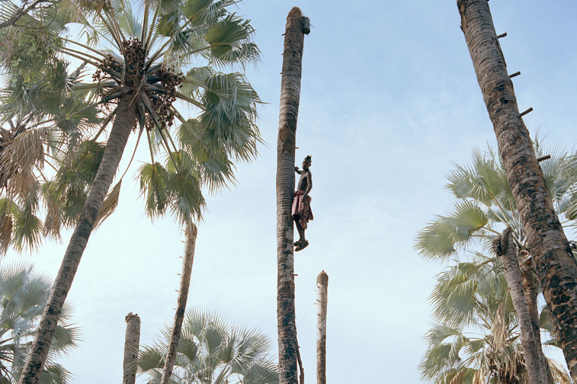 Image courtesy of Kyle Weeks, taken from his series 'Palm Wine Collectors'